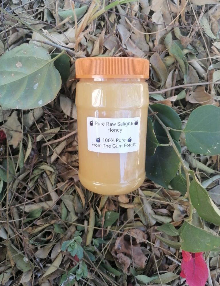 Pure Raw Saligna Honey