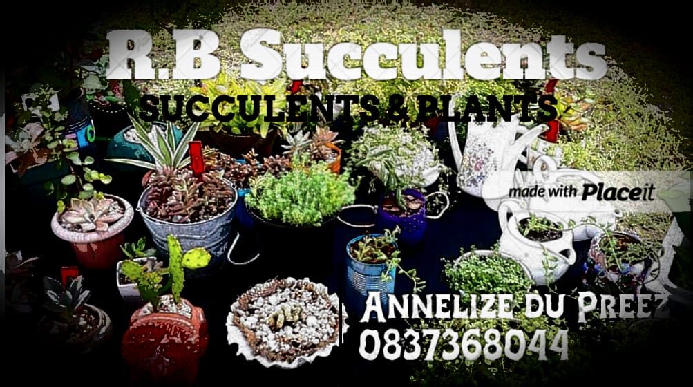 RB Succulents and Plants