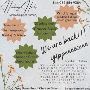Healing Herbs Medicinal Plant Nursery