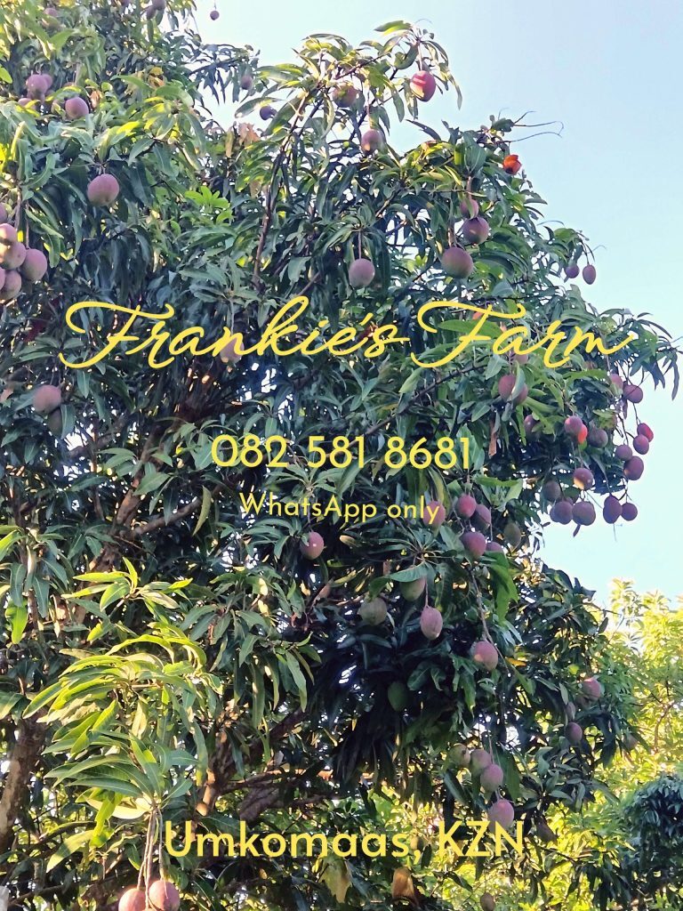 Frankie's Farm